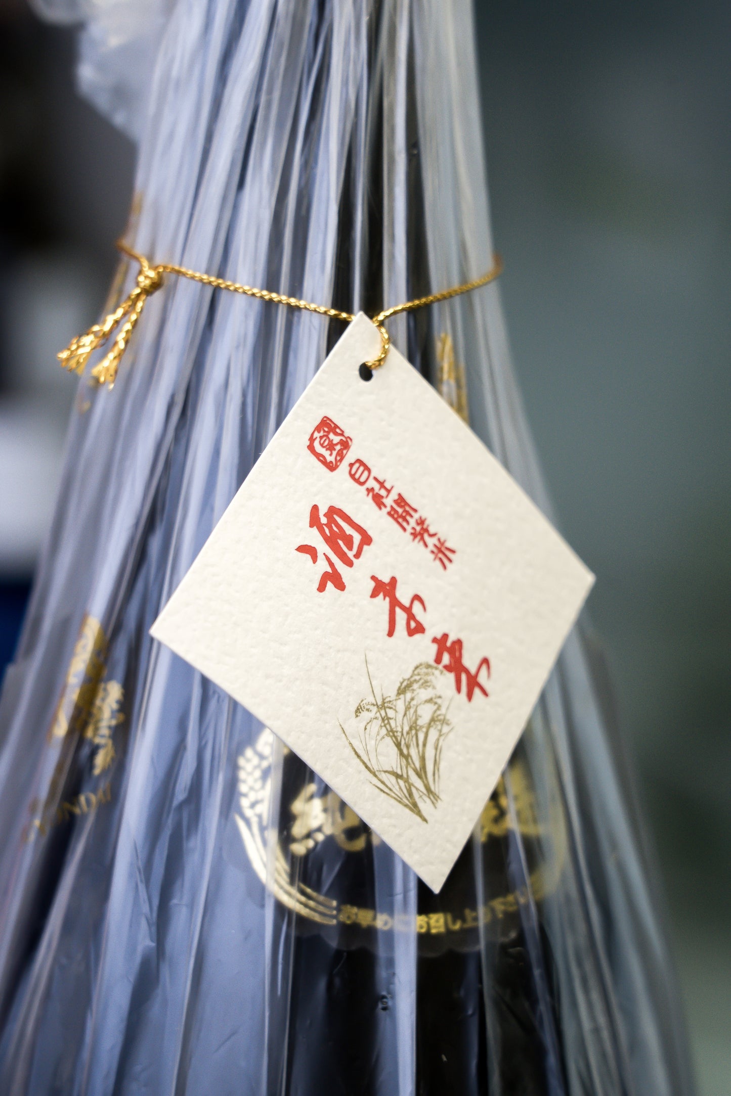 十四代 酒未來 純米大吟釀