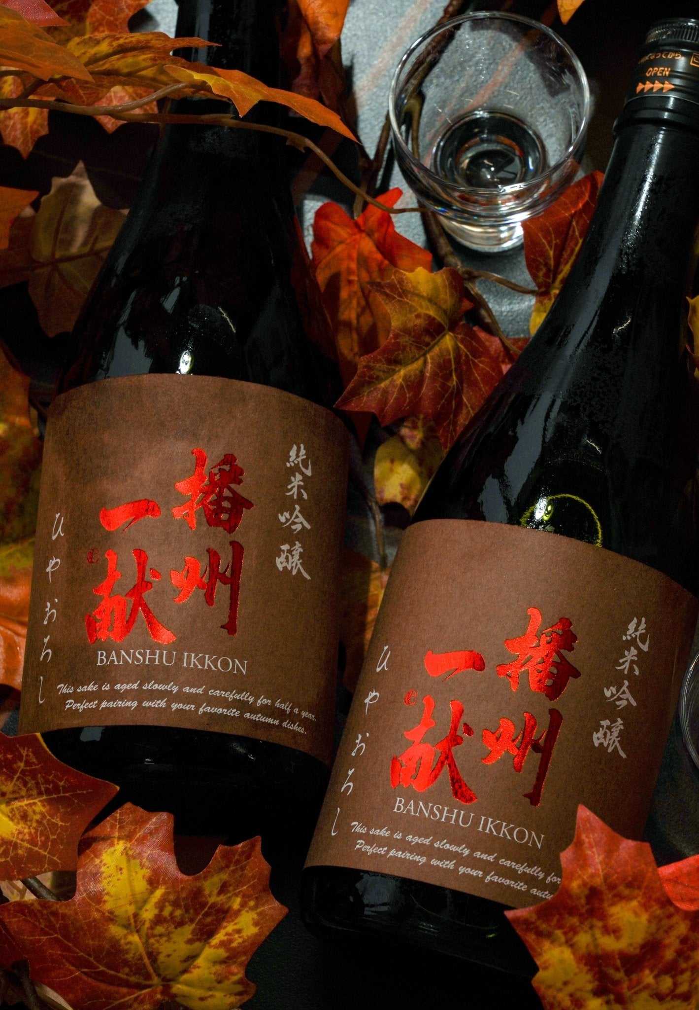 播州一獻 純米吟釀 冷卸酒 - 呷.Sippin 日本清酒專門店