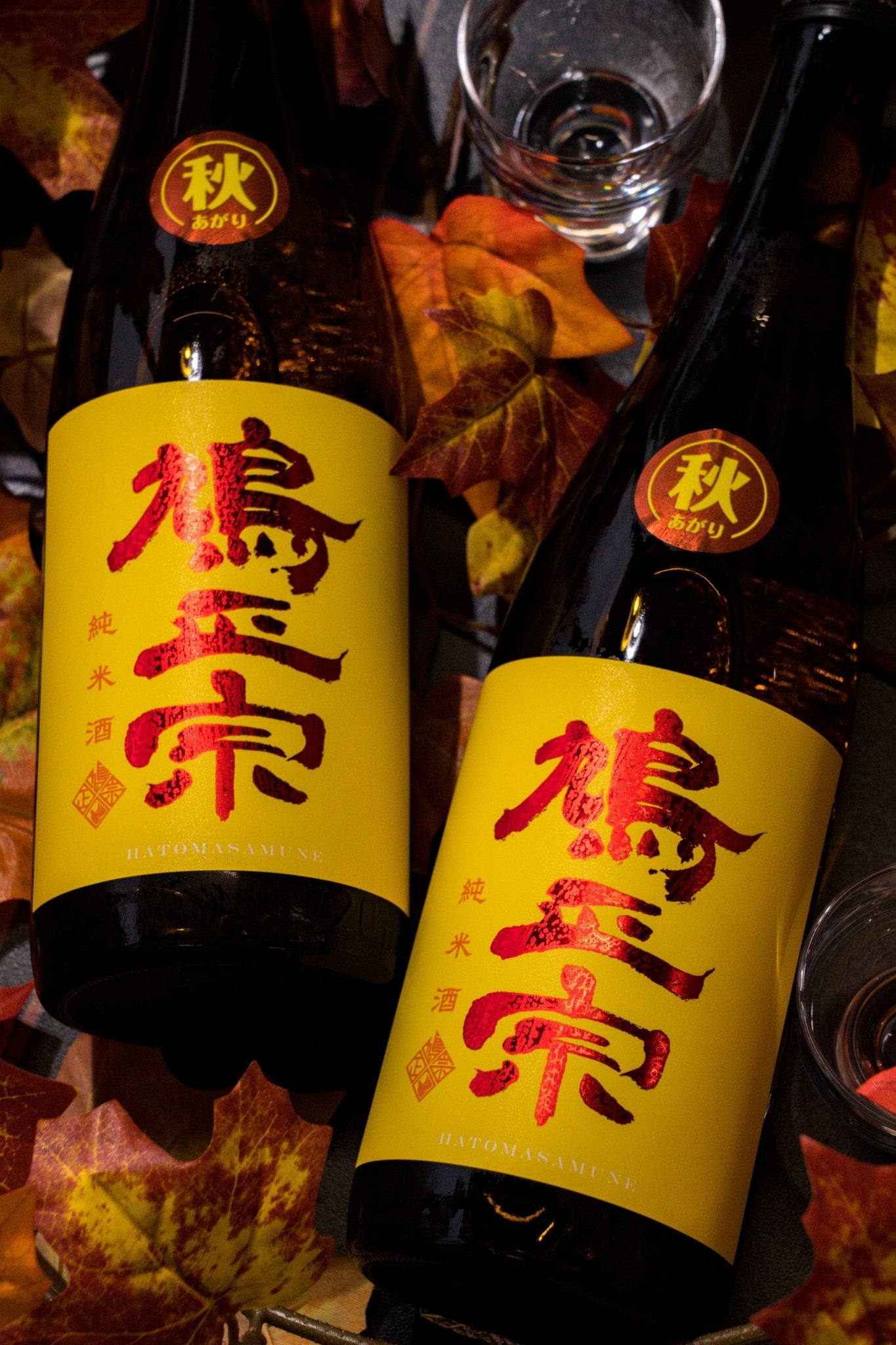 鳩正宗 純米酒 秋季限定 - 呷．Sippin 日本清酒專門店